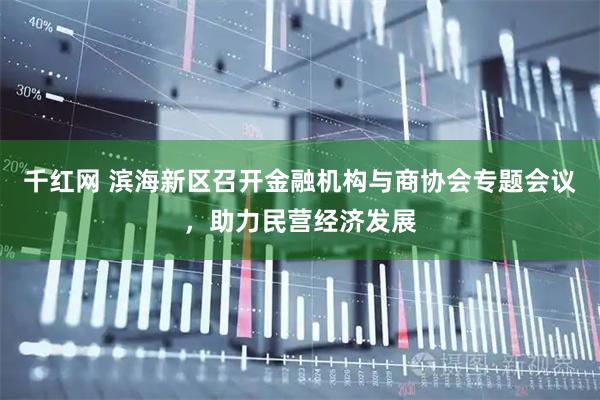 千红网 滨海新区召开金融机构与商协会专题会议，助力民营经济发展