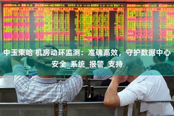 中玉束哈 机房动环监测：准确高效，守护数据中心安全_系统_报警_支持