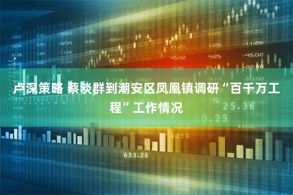 卢深策略 蔡淡群到潮安区凤凰镇调研“百千万工程”工作情况